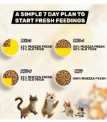 Muezza Variety Pack - Image 3